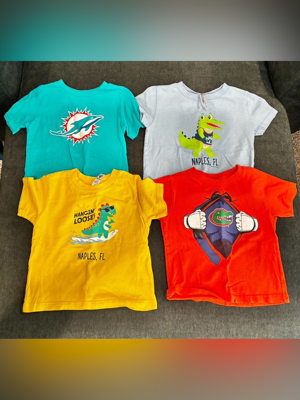 Boys Florida Shirt Bundle Lot of 4 I Miami Dolphins Gators Naples Tees Size 3